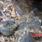 Two dead bodies found in abandoned building