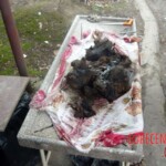 Two dead bodies found in abandoned building