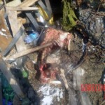 Two dead bodies found in abandoned building