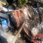 Two dead bodies found in abandoned building