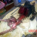 Two dead bodies found in abandoned building