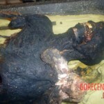 Two dead bodies found in abandoned building