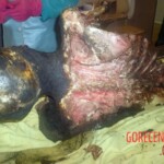 Two dead bodies found in abandoned building