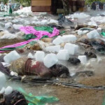 Victims of 2004 tsunami