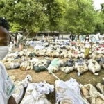 Victims of 2004 tsunami