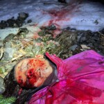 Bear attack in Slovakia