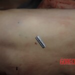 Girl brutally stabbed to death