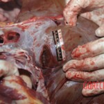 Young Chinese woman brutally stabbed to death in her bed