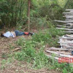 Chinese girl suicide