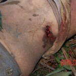 Damaris Josielle Santos