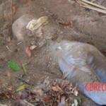 Damaris Josielle Santos