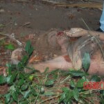 Damaris Josielle Santos