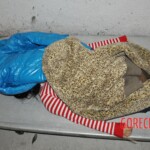 Examination of female corpse