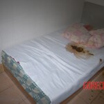 Suicide by poisoning