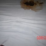 Suicide by poisoning