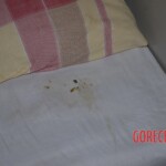 Suicide by poisoning