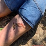 Yennely Andreina Hilario Sosa