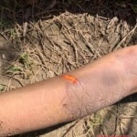 Yennely Andreina Hilario Sosa