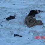 Teletskoye helicopter crash