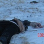 Teletskoye helicopter crash