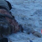 Teletskoye helicopter crash