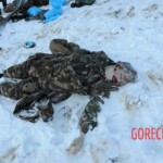 Teletskoye helicopter crash