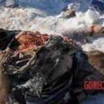 Teletskoye helicopter crash