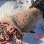 Teletskoye helicopter crash