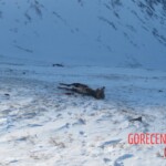 Teletskoye helicopter crash
