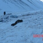 Teletskoye helicopter crash