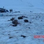 Teletskoye helicopter crash