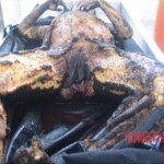 Burnt pregnant woman autopsy