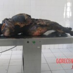 Burnt pregnant woman autopsy