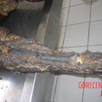 Burnt pregnant woman autopsy