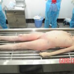 Autopsy of blonde woman