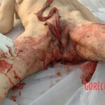 Bestially raped woman