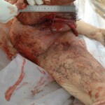 Bestially raped woman