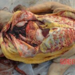 Bestially raped woman