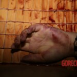 Murder of Chinese girl