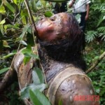 Gabriella Teixeira de Oliveira Santos