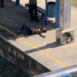 Michele Pinto da Silva