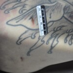 Dead skinny tattooed girl