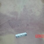 Dead skinny tattooed girl