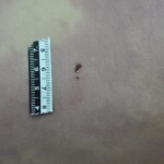 Dead skinny tattooed girl