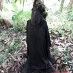 Rotten hanged man