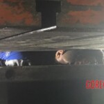 Head crushed by hydraulic press