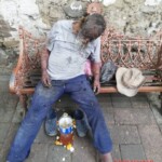 Africanized bees attack