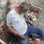 Africanized bees attack