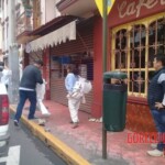 Africanized bees attack