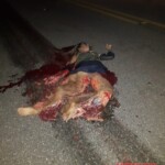 Woman crushed by truck